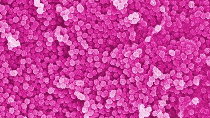 nanoplastic stopper 50tsd